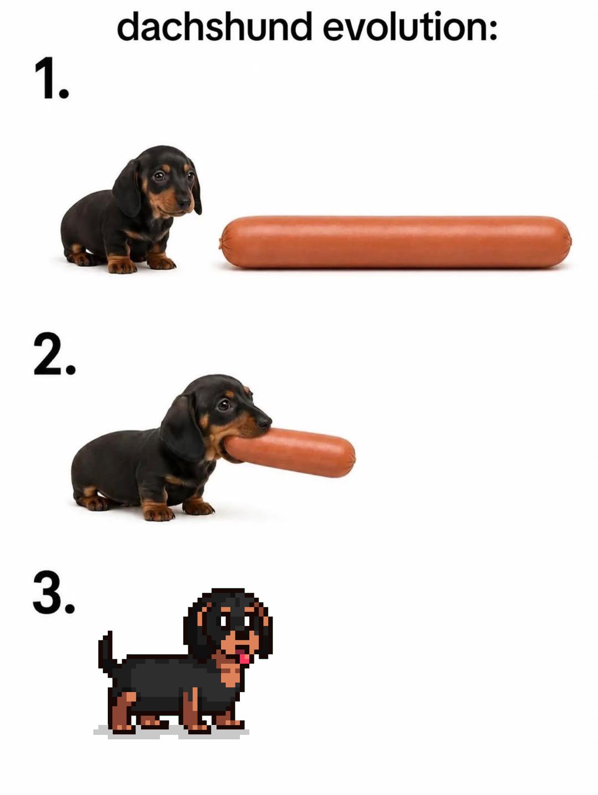 HotDogs.wtf visual